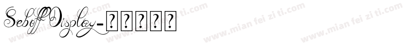 Seboff Display字体转换